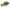 Moringa: The Miraculous Superfood