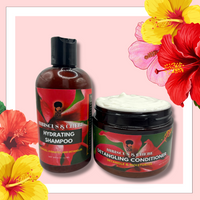 Thumbnail for Hibiscus and Chebe Hydrating Shampoo and Conditioner Kit