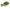Moringa: The Miraculous Superfood
